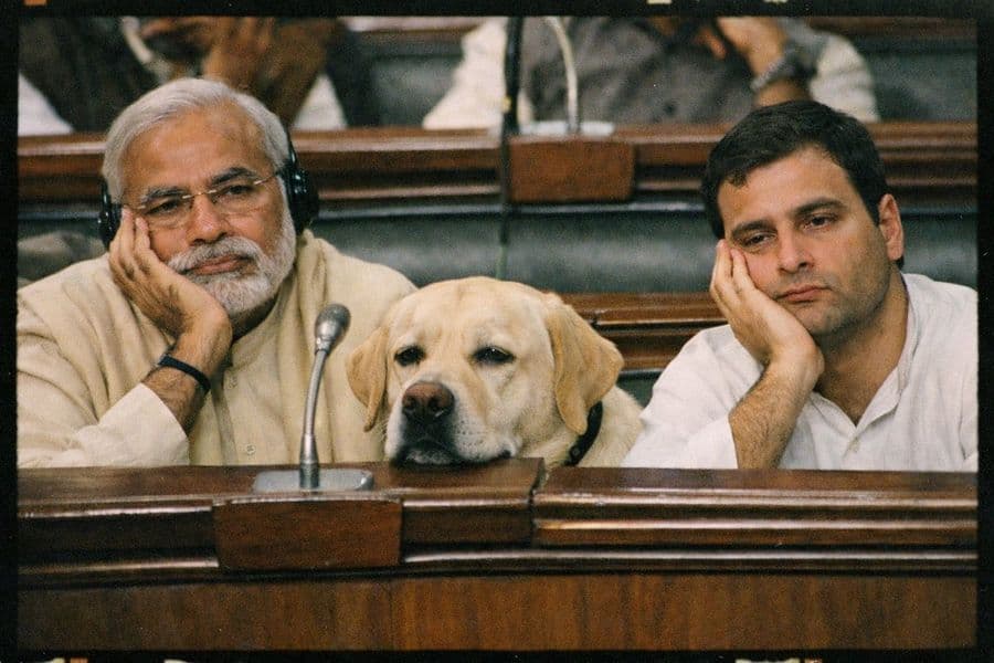 Politici indiani annoiati con un cane stanco