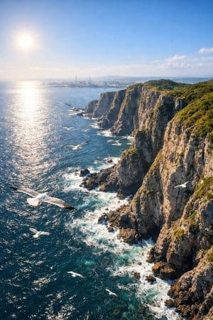 詳細な空中沿岸風景