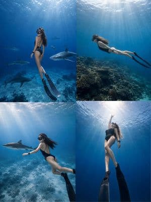 Traumhafte Unterwasser-Freediving-Fotografieserie - 4
