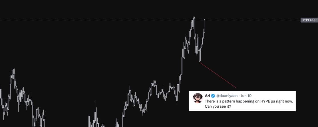 What did you see?